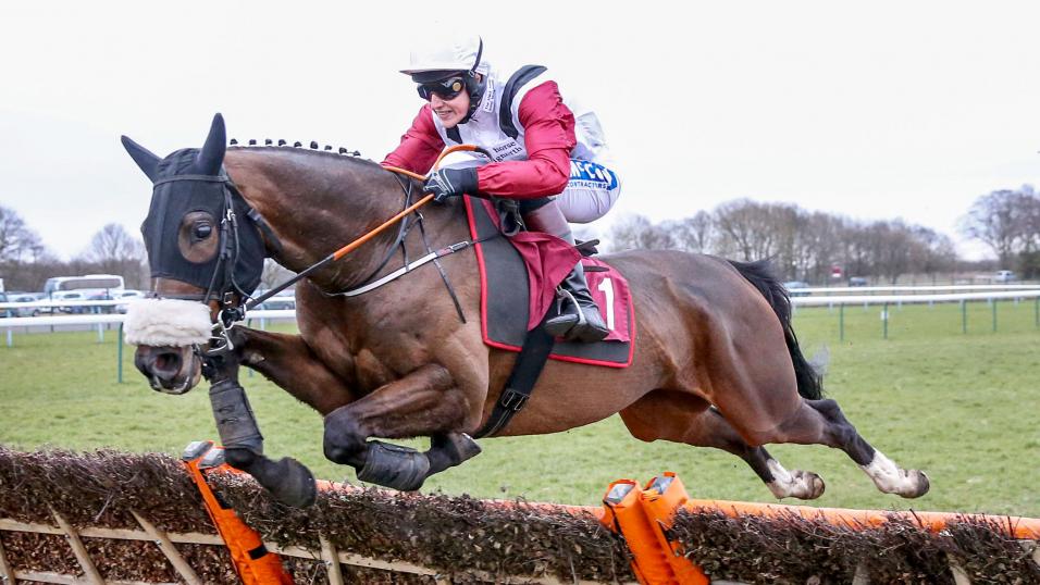 Calipso Collonges jumps horse